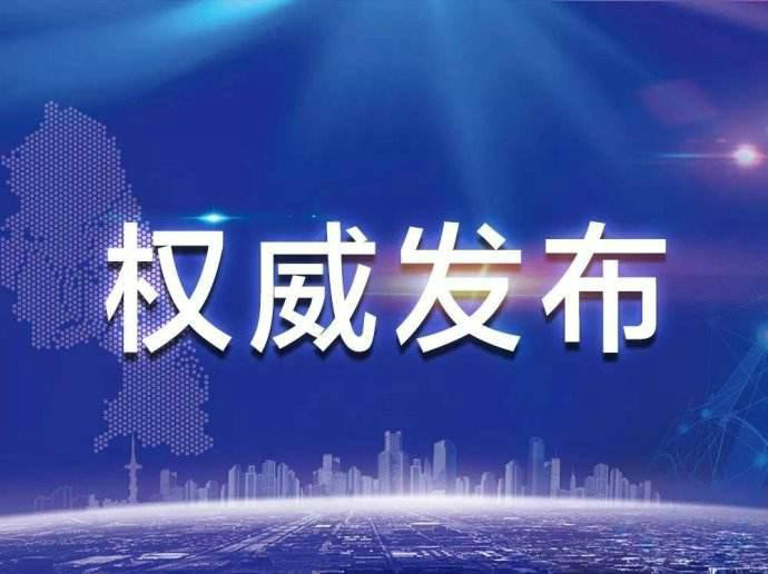 國家發展改革委關于2020年    光伏發電上網電價政策有關事項的通知 