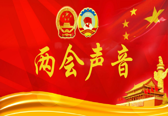 兩會聲音：代表建議實施“人人光伏”發展戰略?