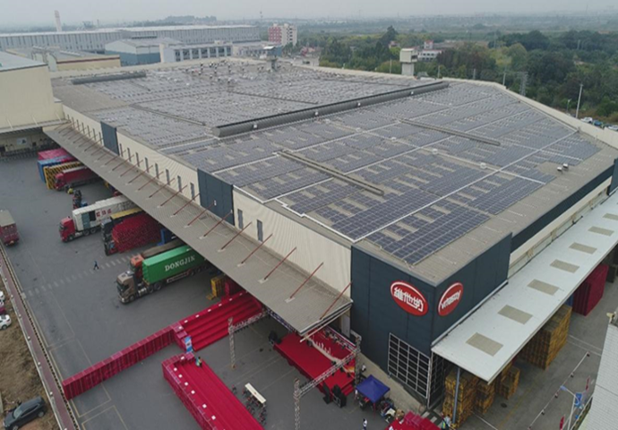 聚焦綠色低碳可持續發展 維他奶佛山工廠光伏發電項目投入使用